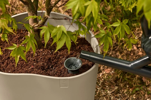 Eden Aquacare Low 40 niska donica owalna soft taupe system samonawadniający