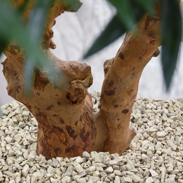 Sztuczna Palma Chamedora na drewnianym pniu 65 cm