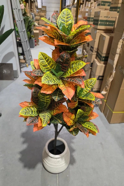 Sztuczny Kroton Codiaeum L 150 cm