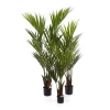 Sztuczne Palmy Kentia 110-200 cm zestaw x4