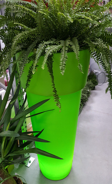 MARCANTONIO 50/120 wysoka donica podświetlana z rantem zielona