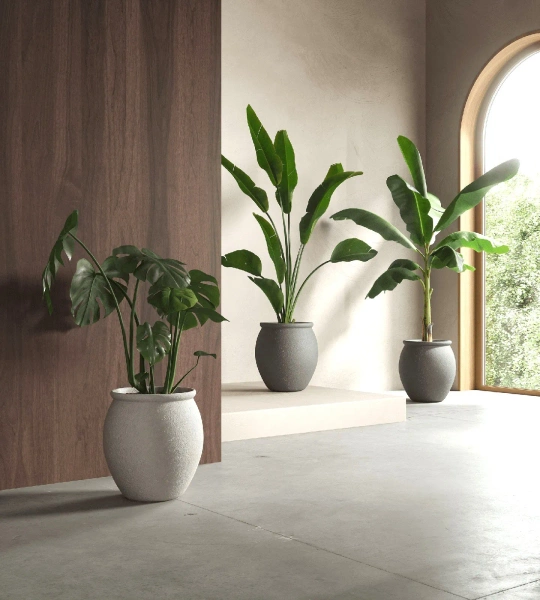 Artemis 38/42 duża osłonka śródziemnomorska biała