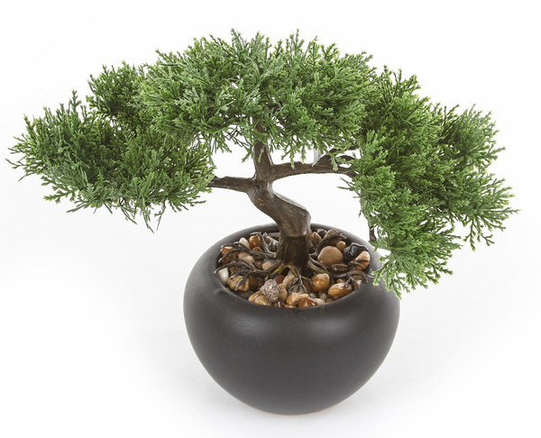 Sztuczne drzewko Bonsai Cedr 26 cm czarnej doniczce