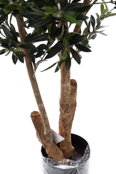 Sztuczna Oliwka 180 cm drewniany rozgałęziony pień