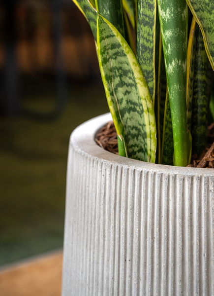 Patt High S 29/43 wysoka kamienna doniczka jasnoszara w prażki