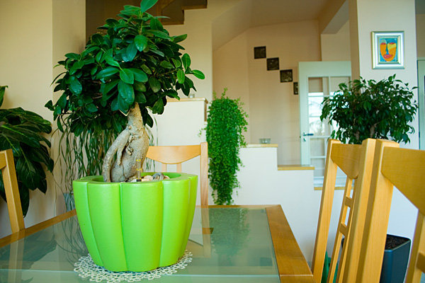 UNIFIORE 30/20 designerska doniczka srebrna