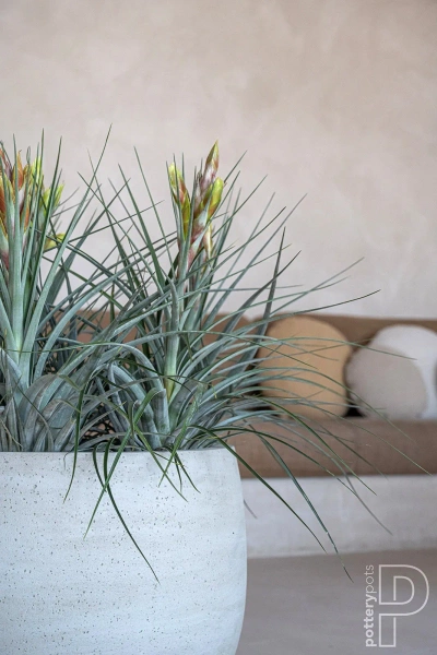 Mini Orb XL 40/34 kamienna donica kula beżowa beige washed