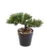 Sztuczny Bonsai Sosna Pinia 18 cm
