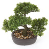 Sztuczne drzewko Bonsai Fikus mini 32 cm w brązowej doniczce
