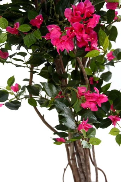 Sztuczna Bugenwilla z różowymi kwiatami 150 cm drewniany pień
