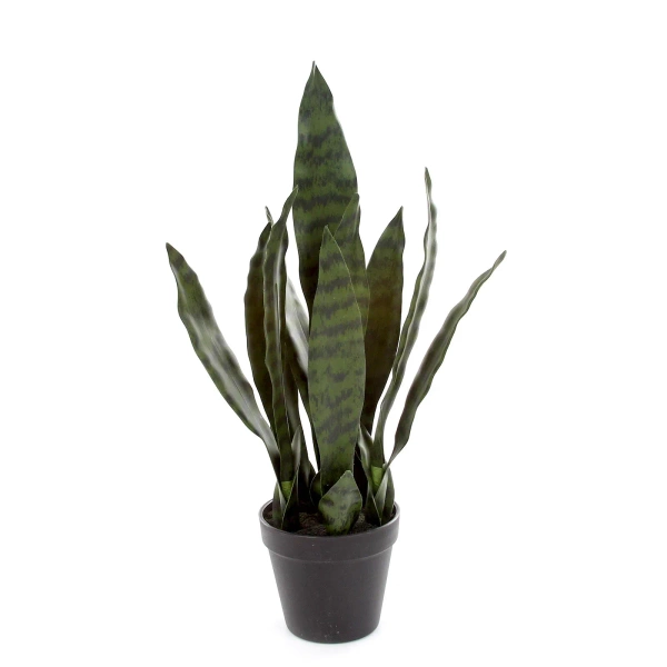 Sztuczna Sansewieria 50 cm zielona
