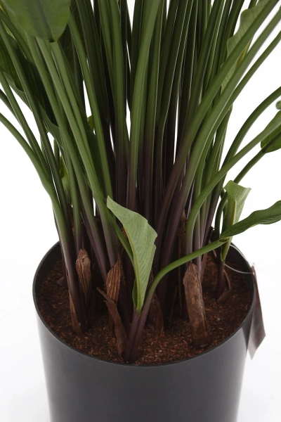 Sztuczna Kalatea Calathea 84 cm