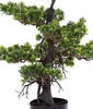 Sztuczne drzewko Bonsai ZEN 65 cm