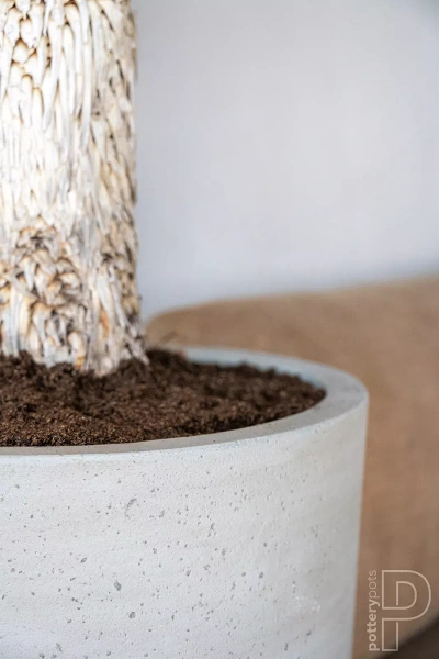 Dax L 37/80 wysoka donica kamienna beżowa