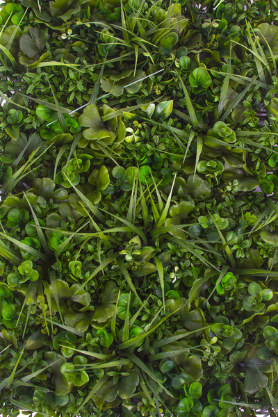 Sztuczna zielona ściana panel Greenery Mix 75x50cm