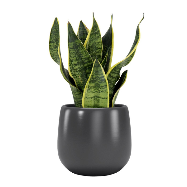 Vitoria 11/11 osłonka ceramiczna ciemnoszara