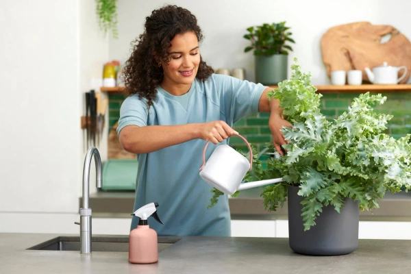 Spryskiwacz do roślin Elho B.For Soft 0,6l różowy