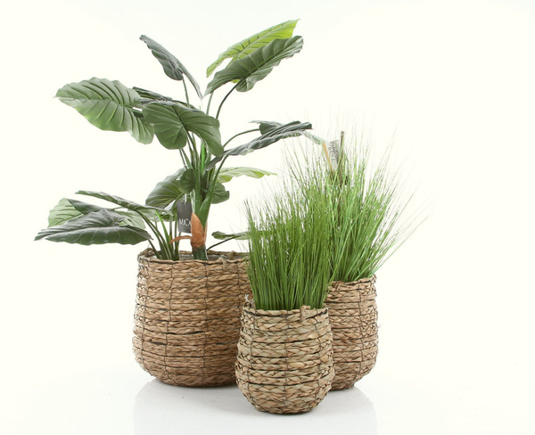 AVALON 3-PAK zestaw doniczek wiszących lub stojących z trawy morskiej