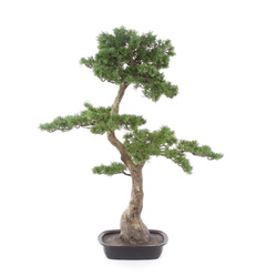 Sztuczny Bonsai Pinia 80x110 cm