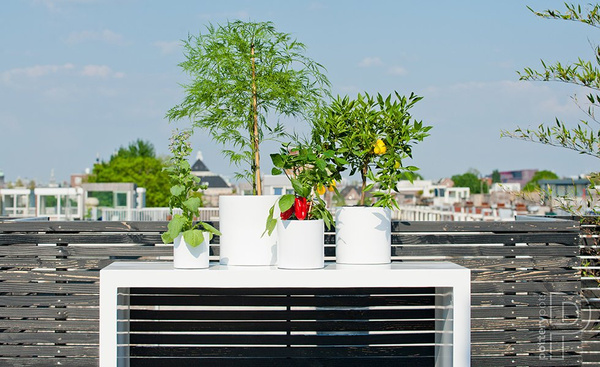 Puk M 20/20 doniczka cylindryczna biała matowa