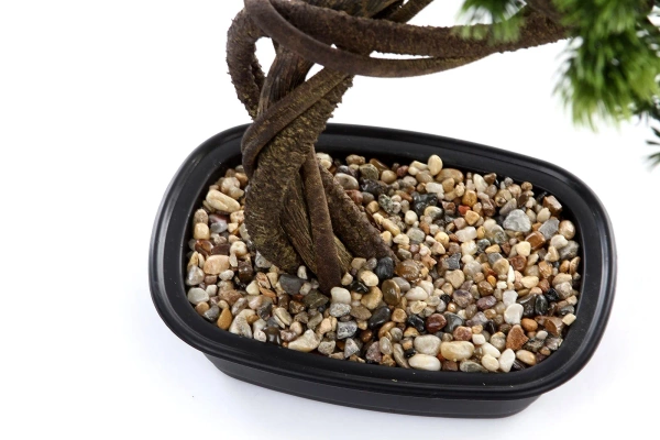Sztuczny Bonsai Sosna Pinia 70 cm