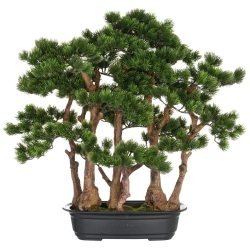 Sztuczny Bonsai Pinia Sosna w formie lasu 60 cm