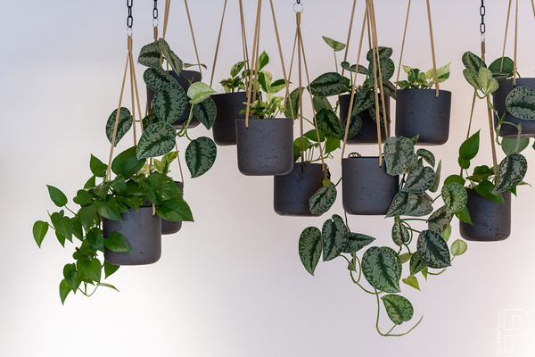 Charlie XS 12/11,5 czarna doniczka wisząca cylinder kamienna