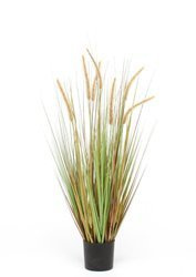 Sztuczna trawa Dogtail 92 cm z kłosami