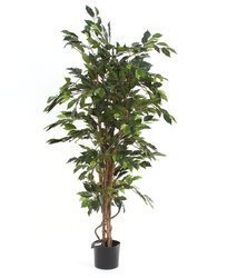 Sztuczny Fikus 150 cm zielony