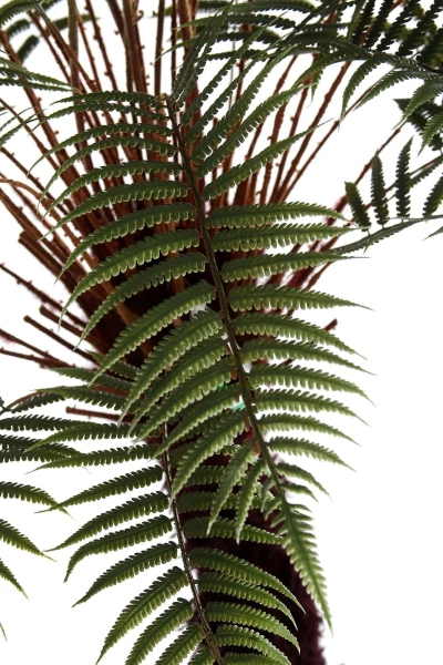 Sztuczna paproć Dicksonia 125 cm