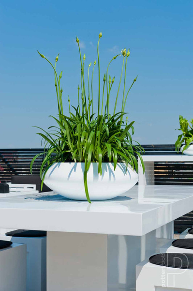 Tara XL 100/37,5 duża płaska donica lakierowana biała połysk