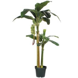 Sztuczny Bananowiec 180 cm