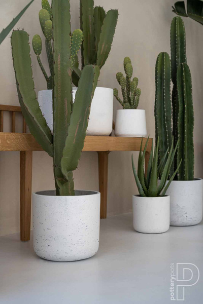 Charlie XXXS 8,5/7,5 biała doniczka kamienna na kaktusy