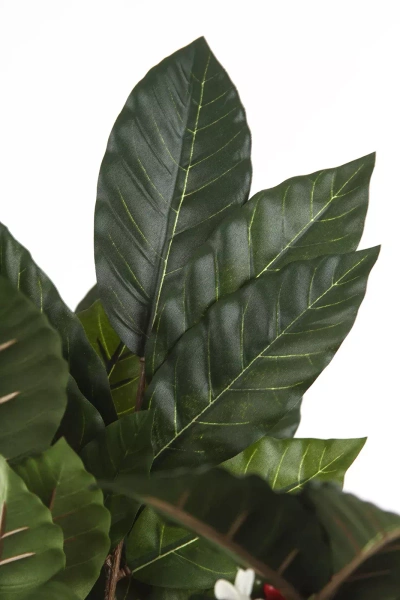 Sztuczna Kawa drzewko 180 cm 540 liści z owocami