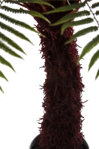Sztuczna paproć Dicksonia 125 cm
