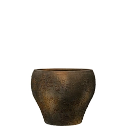 Claire XS 40/33 osłonka naturalna brązowa ostryga