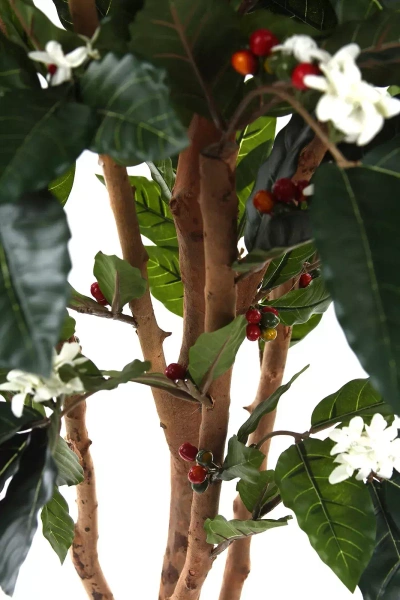 Sztuczna Kawa drzewko 180 cm 540 liści z owocami