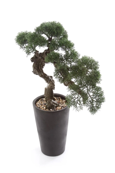 Sztuczny Bonsai Cedr 80 cm UV