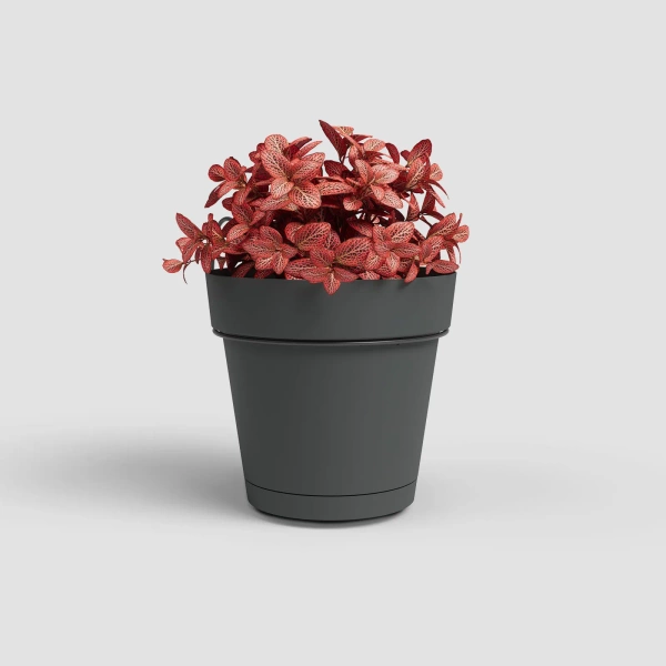 Capri Balcony 20 antracytowa doniczka balkonowa do zawieszenia