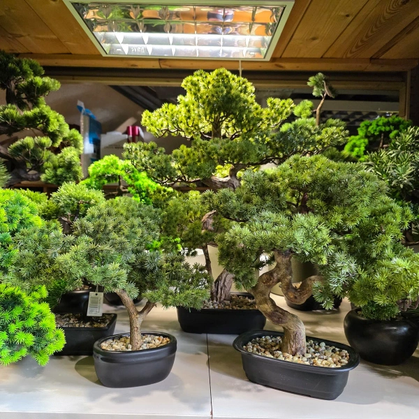 Sztuczny Bonsai Pinia Sosna 26 cm w czarnej doniczce