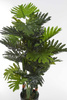 Sztuczny Filodendron Philodendron Selloum 120 cm rozpiętość 80 cm