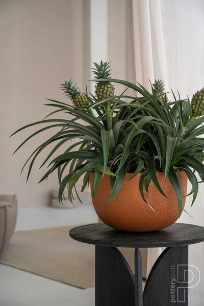 Peter S 20/12 doniczka misa kamienna zielona pine green