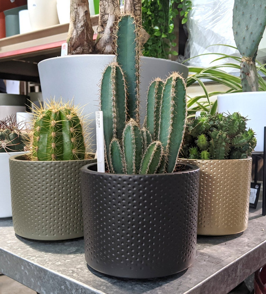 ERA 12/10 osłonka ceramiczna w kropki biała