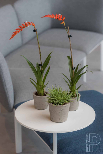 Mini Bucket S 14/12 kamienna doniczka złota metalik