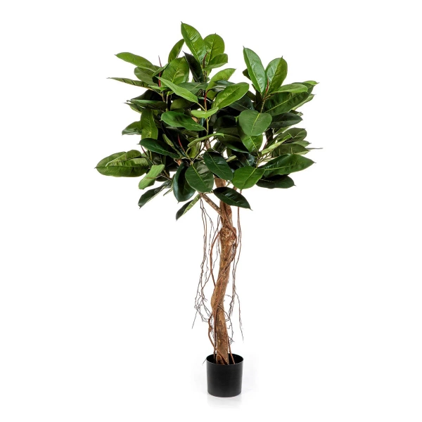 Sztuczne drzewko Fikus Elastica 155 cm 141 liści drewniany pień