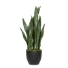 Sztuczna Sansevieria zielona 70 cm