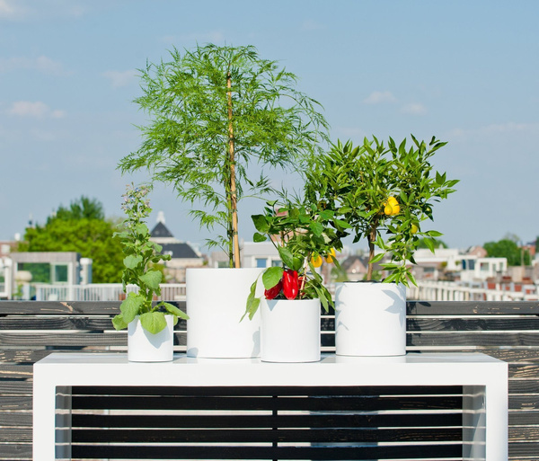 Puk L 25/25 cylindryczna donica z włókna szklanego biała z połyskiem