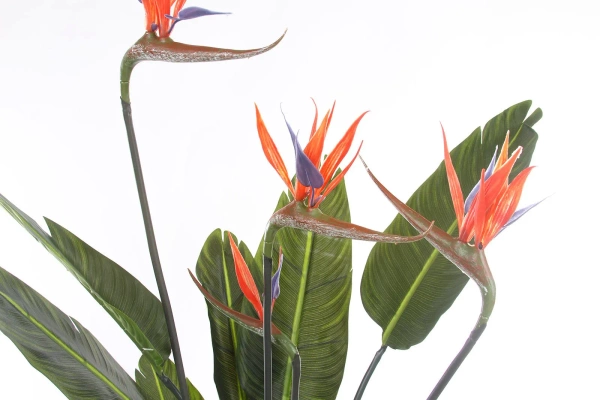 Sztuczna Strelicja rajski ptak z kwiatami 150 cm