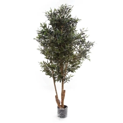 Sztuczna Oliwka 180 cm drewniany rozgałęziony pień
