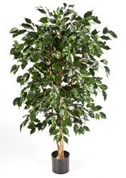 Sztuczny Fikus Nitida Exotica 150 cm 935 liści